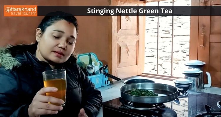 Stinging Nettle Green Tea 1.jpeg