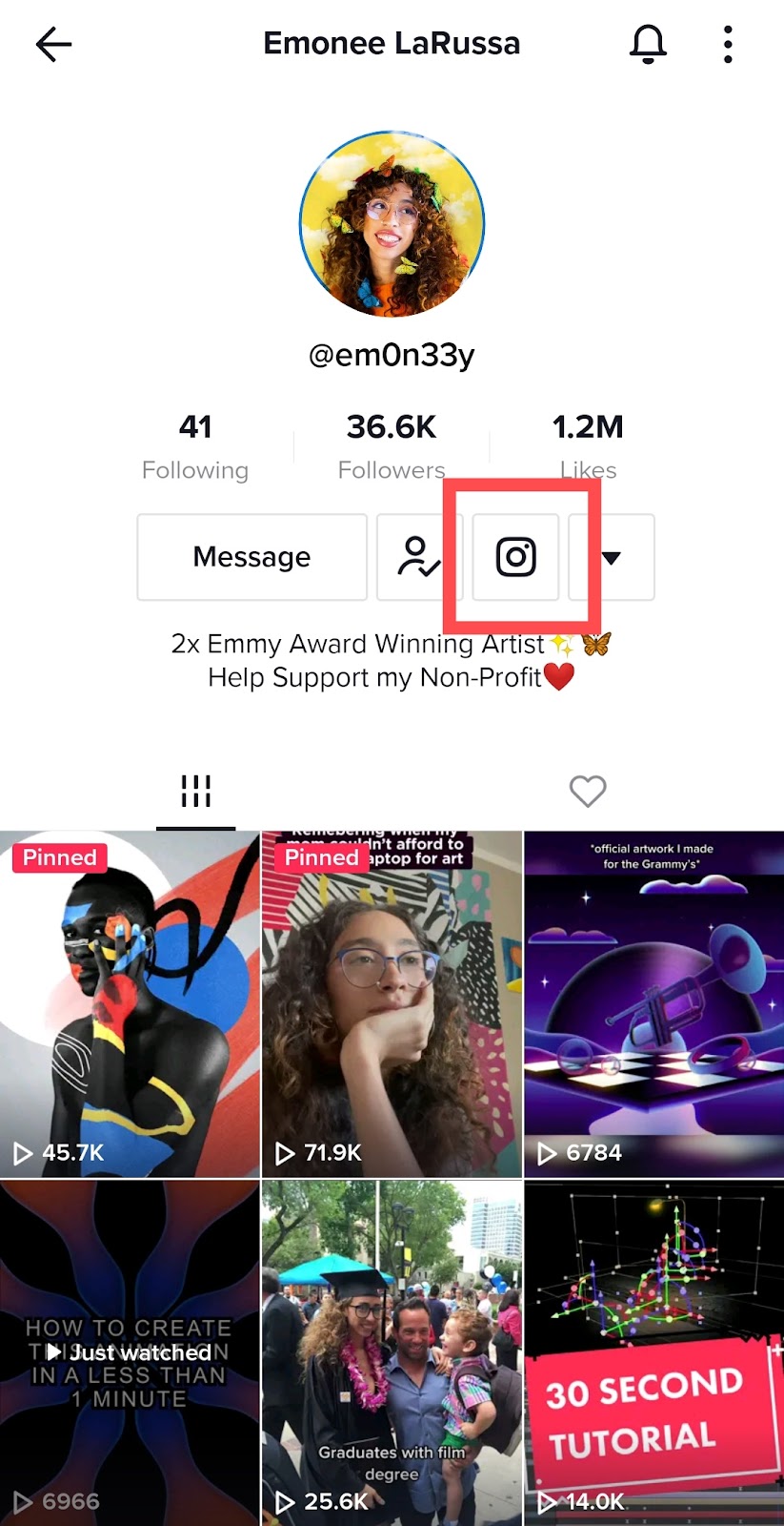 An image showing where to find the instagram button on a tiktok profile