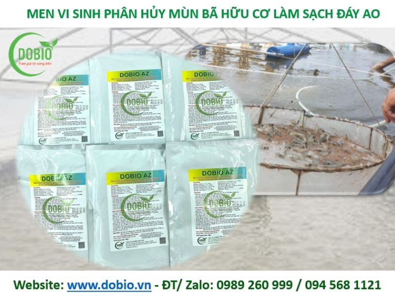 Một trong những sản phẩm vi sinh xử lý đáy ao tôm tại Dobio