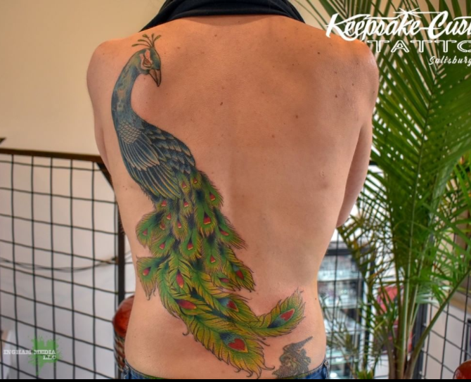 Incredible Peacock Tattoo On Back