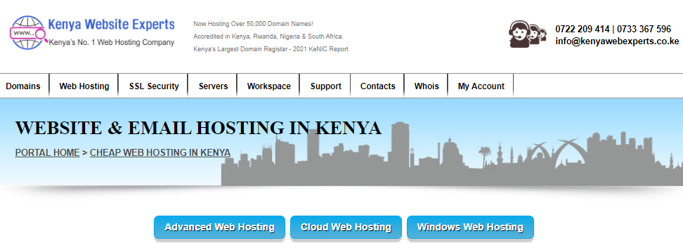 Kenya website experts