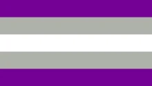 5 horizontal stripes going purple, gray, white, gray, purple from top to bottom. 