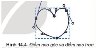 Quan sát hình trái tim xác định xem các điểm được đánh dấu nằm trên Hình 14.4