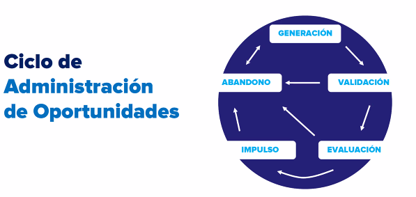 El Ciclo de Administración de Oportunidades.