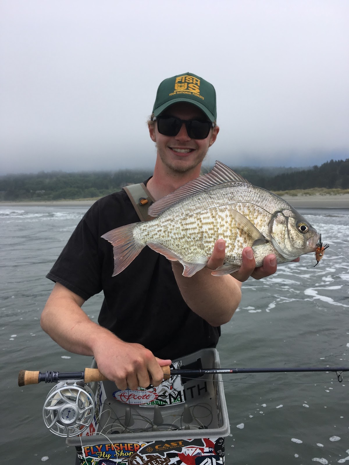Fly Fishing for Redtail Surfperch - Blog  Fly Shop