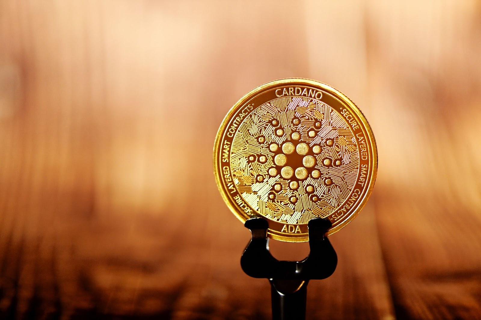 Cardano Cryptocurrency