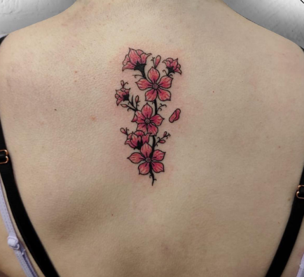 Traditional Cherry Blossoms Design