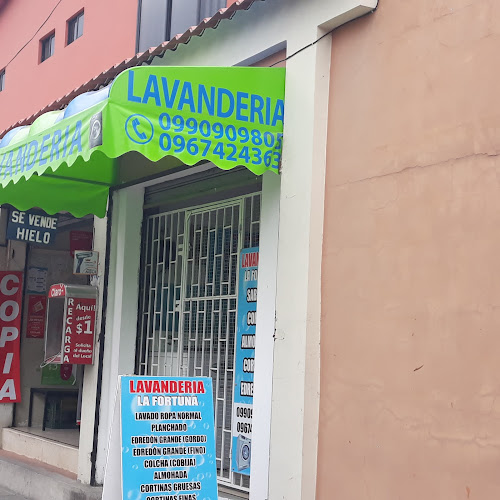 Opiniones de Lavanderia La Fortuna en Guayaquil - Lavandería