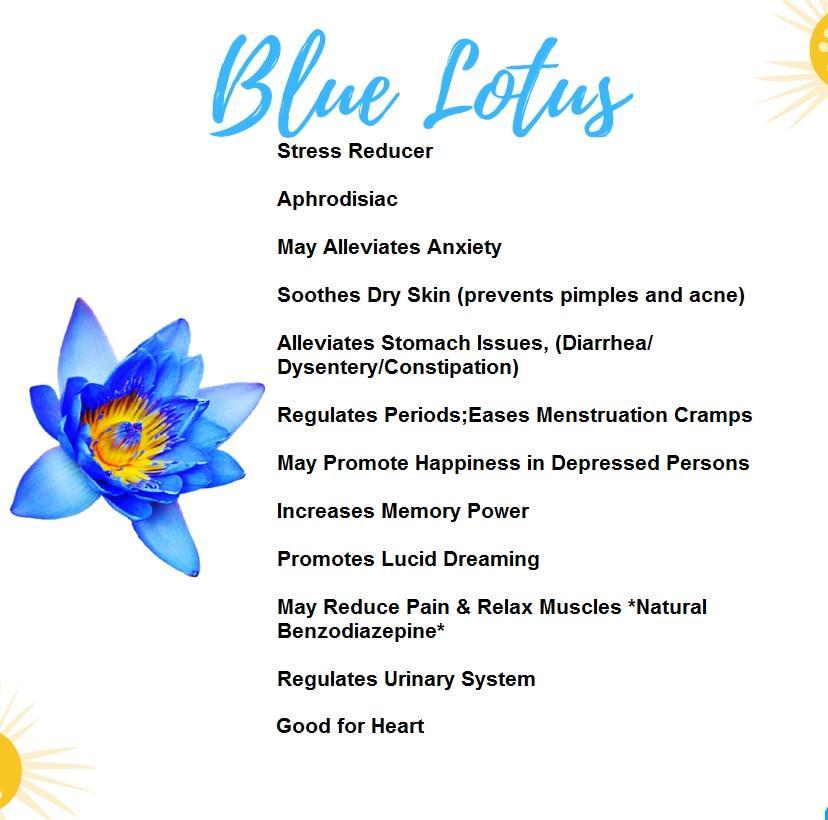 20kg+ Dried Blue Lotus Flowers - Premium Quality Nymphaea Caerulea Her –  Ceylon Organic