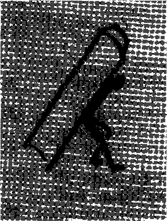 C:\Users\ihram\AppData\Local\Microsoft\Windows\INetCache\Content.MSO\1F3A7BAC.tmp