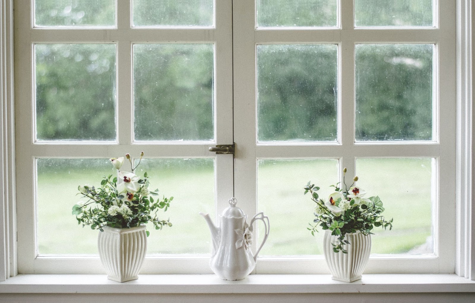 Plants on window sills 