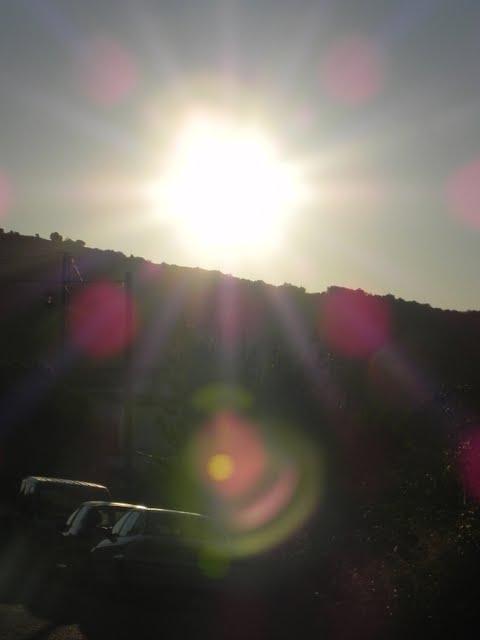 https://blogger.googleusercontent.com/img/b/R29vZ2xl/AVvXsEhNj-EKg-HVEKhKf41xhYiPirOgOUSTQJpz-gkxaybpOC6qNHLbE86Eezp1gj-7pYzCMDJlkurgoR-6VH47bedcutoEvxaAsx6YT1lKF50Qhyfu_WxNg7W4rnO1p__YQwkCJDV53Oy9Ibk/w480-h640-no/DSCN1705.jpg