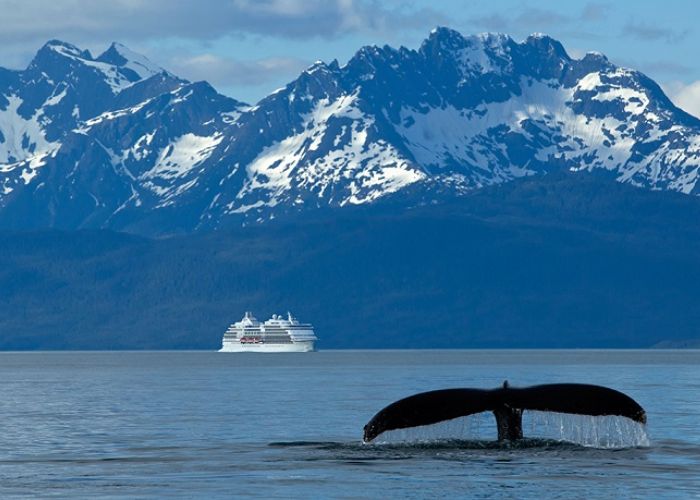 Tour du thuyền Bắc Mỹ & Alaska - Đi tour du thuyền Bắc Mỹ & Alaska, bạn sẽ có cơ hội được ngắm cá voi tại công viên quốc gia Kenai Fjord 