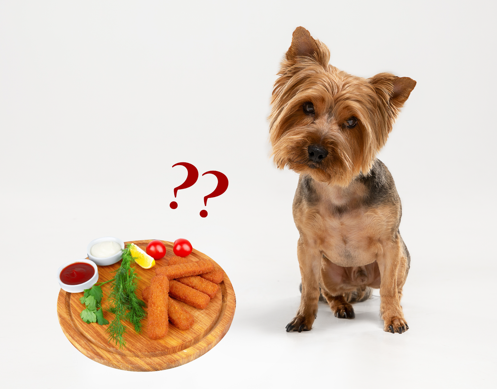 Can Dogs Eat Fish Sticks? Everything You Need to Know