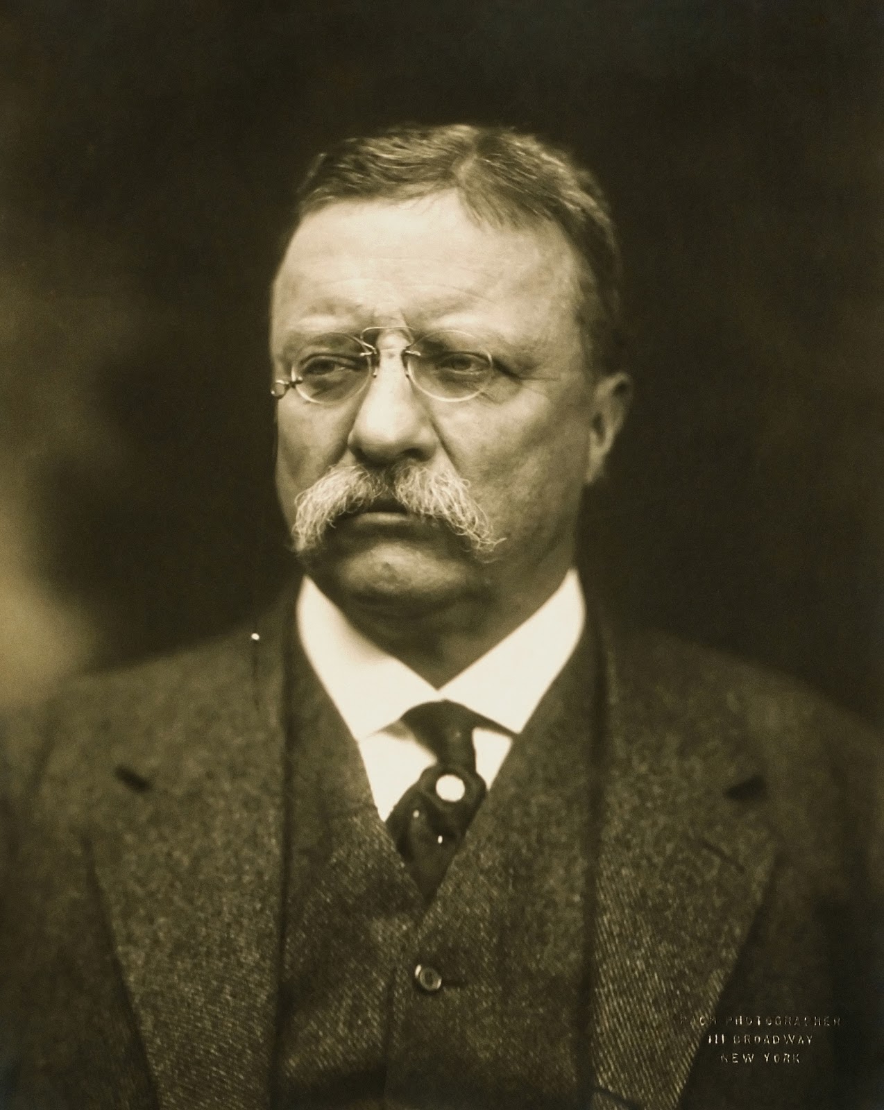 File:T Roosevelt.jpg