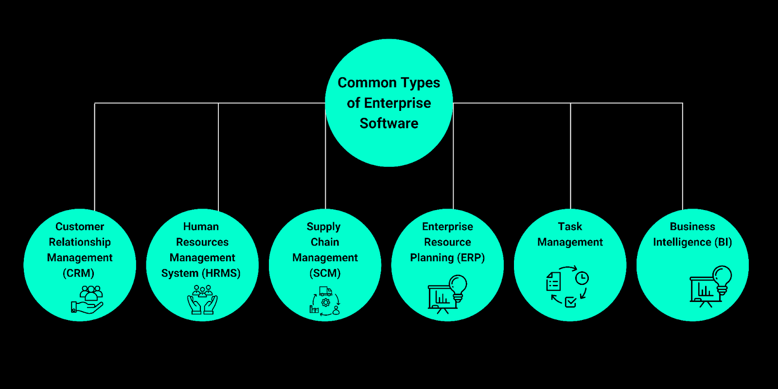 Graphic depicting the common types of enterprise software