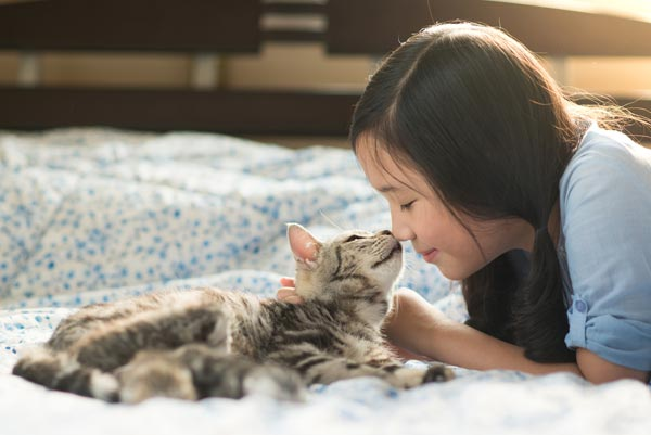การเลี้ยงแมวไว้ในบ้าน จะช่วยให้การนอนหลับของคุณนั้นดีมากยิ่งขึ้น