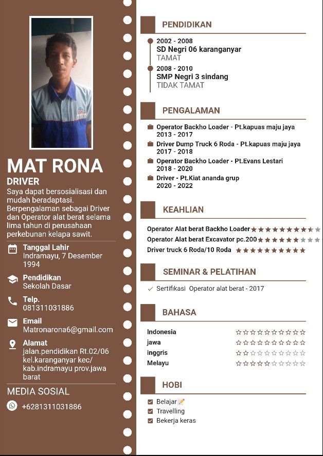CV Mat Rona yang dicantumkannya di LinkedIn.