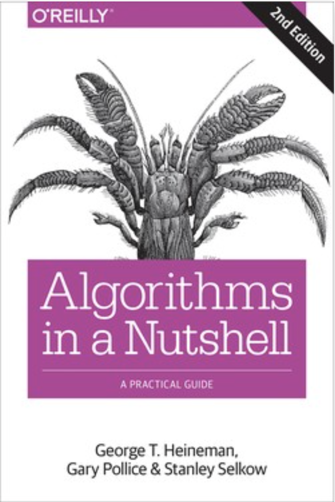 Algorithms in a Nutshell Book Cover
