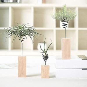 Wooden block plant stands with the delicate wire twist of one holding an air plant photo