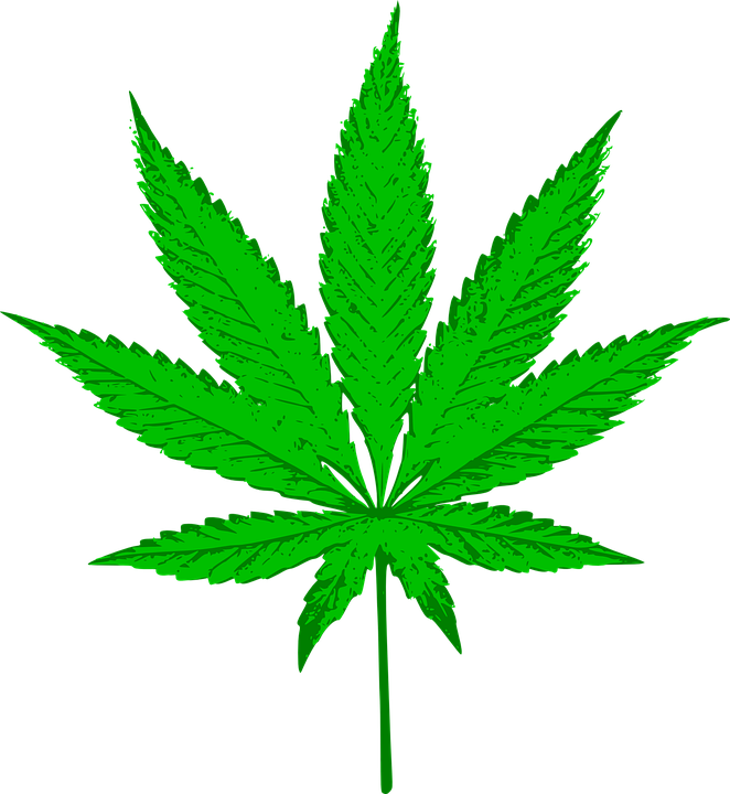 Free vector graphics of Cannabis