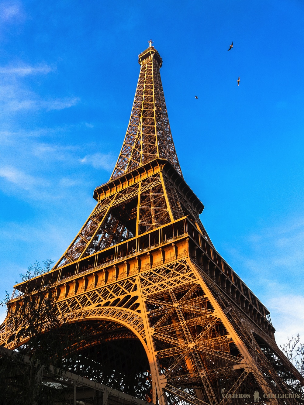 P1010421-2.jpg