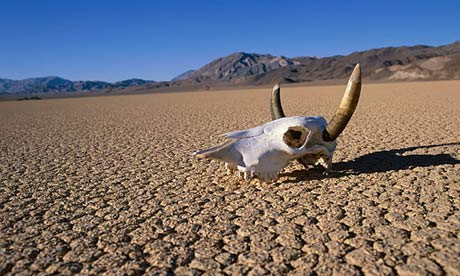 http://www.theguardian.com/world/shortcuts/2013/jul/01/death-valley-hottest-on-earth