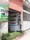 Calzado Lisnel