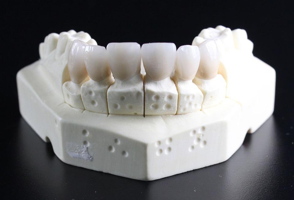 Dentures, Teeth, Dental Technician