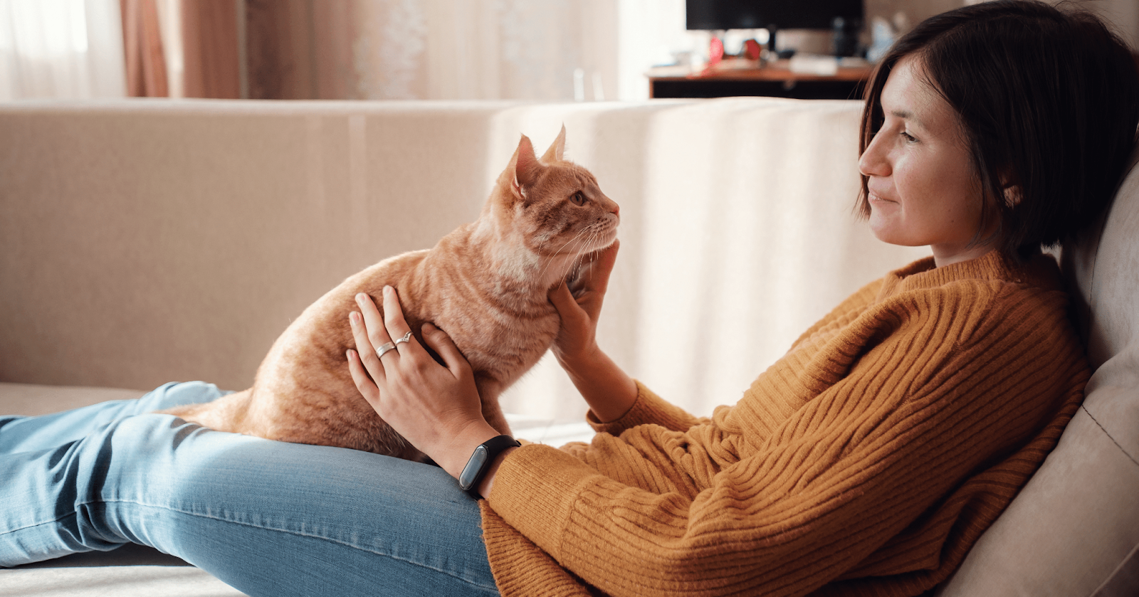 ginger cat on ladies lap