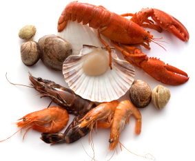 Image result for shellfish