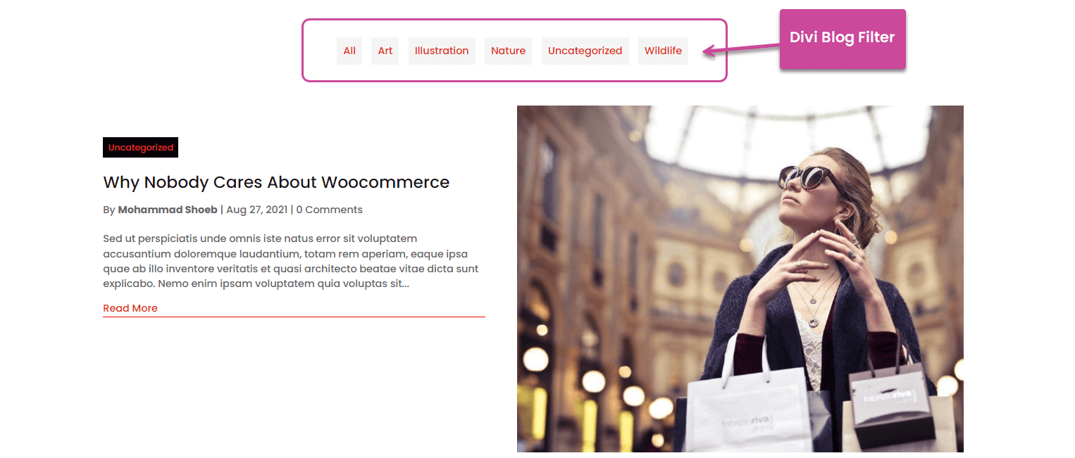 Divi Blog filter