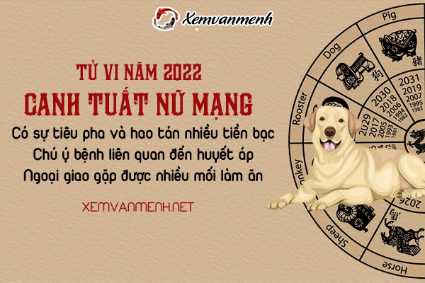 tu-vi-tuoi-canh-tuat-nam-2022-nu-mang-1970
