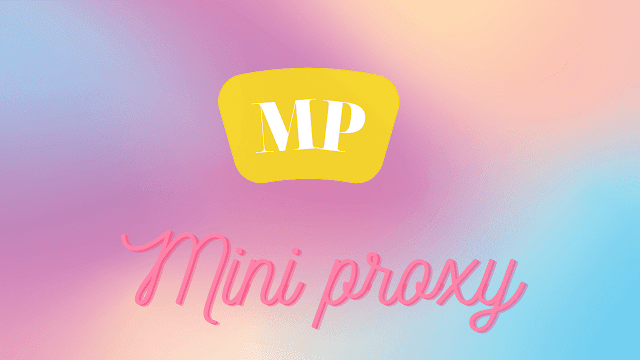 mini proxy