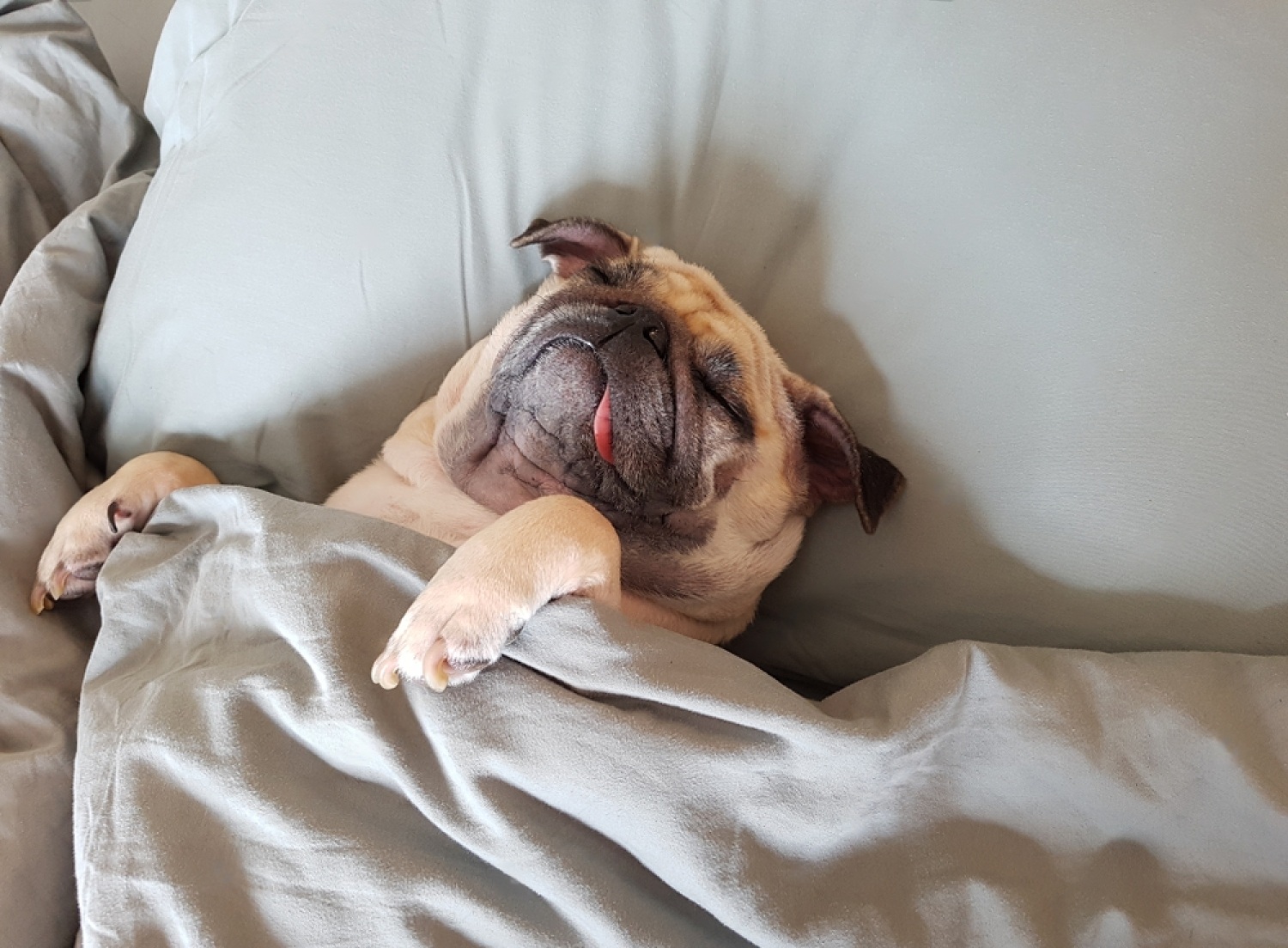 Do Dogs Get Period Cramps? 4 60OJ Hadx46mXGZ6RvBJcirRpQ7Gvb6UcK2OA QvVMAVyPlg6UoYLRzo4E9uTmyAi8x31ZqwQYDIO7L5bN2CYvwdSMFtD3y1dpILLyA6Iqmyx 34FtF3Y ONcL4H18mCkG78aQxuWMpm 1v k4H5hz0
