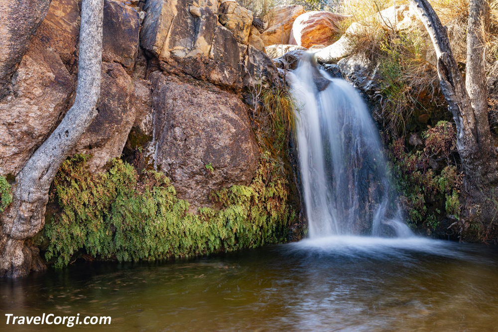 First Creek Falls | Best Waterfalls In Nevada