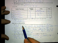 Monohybrid Cross Worksheet Answers Key : Punnett Square Worksheet 2 Two Factor Cross Worksheet Answer Key Name Period Date Punnett Squares Worksheet 2 Two Factor Crosses In Pea Plants Course Hero
