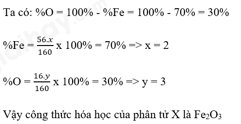 Câu hỏi trang 50 SGK TN&XH 7 CTST tập 1