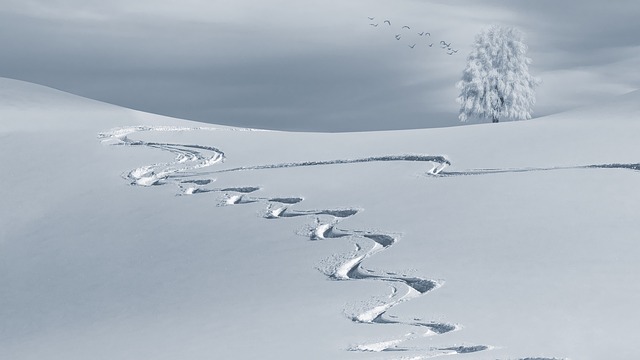 Camping During the Winter