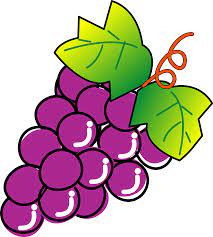 Bunch of Grapes clipart. Free download transparent .PNG | Creazilla