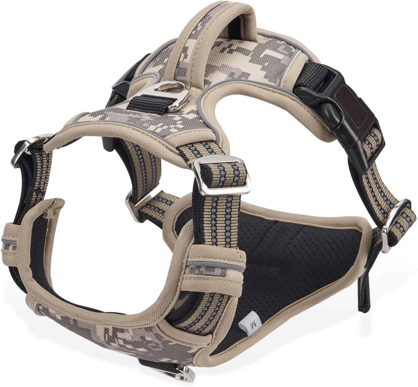 Dociote Dog Harness with 2 Metal Leash