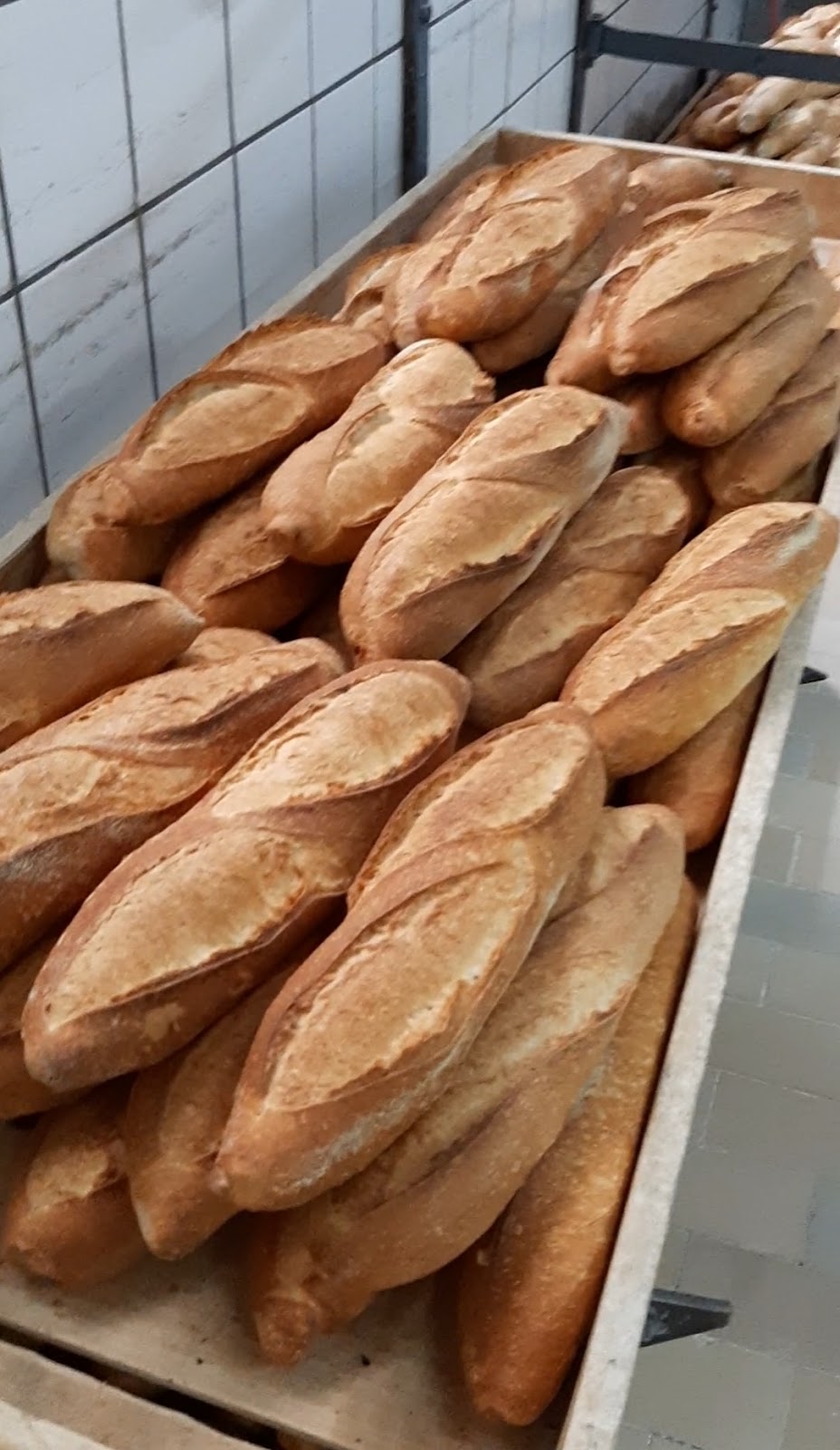 pães da padaria basilicata