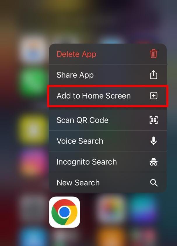  From the options provided, select Add to Home Screen.