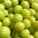 Indian gooseberry