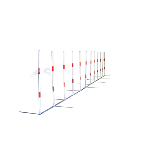 agility slalom for competition and training Galican