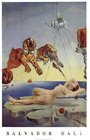 Amazon.com: Dream Caused by The Flight of a Bee a Second Before Awakening  by Salvador Dali 36x24 Art Print Poster Museum Master Famous Painting Tigers  Nude Woman Elephant Gun: Posters &amp; Prints