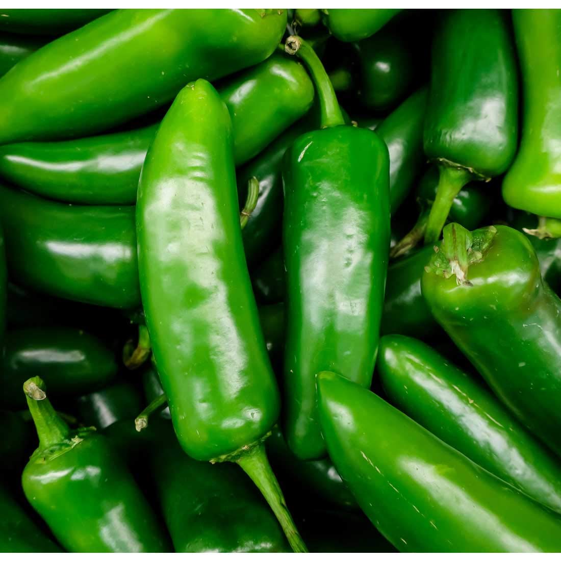 Pile of jalapeno peppers