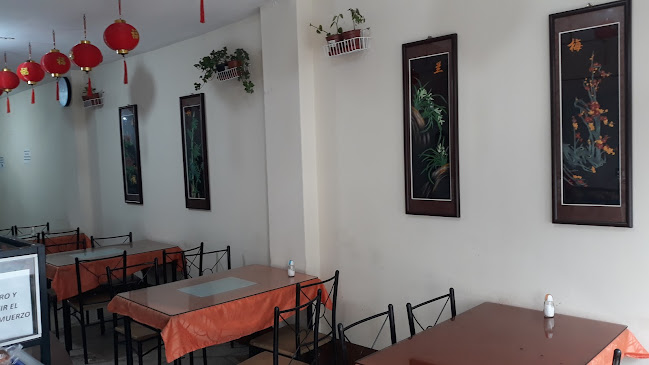 Restaurante Vegetariano Fenix - Restaurante
