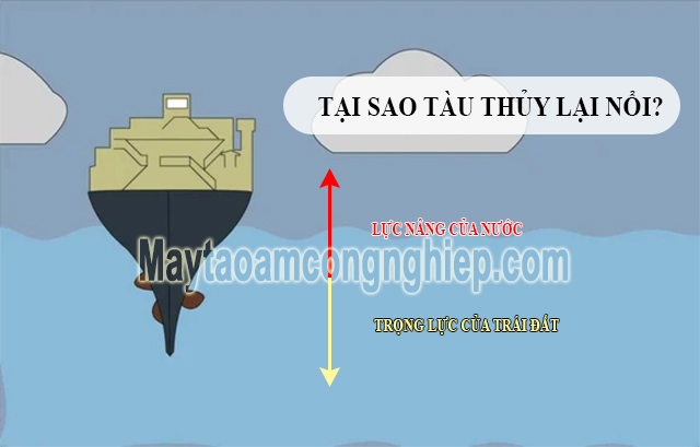 Các lực tác động khiến cho tàu thuyền có thể nổi