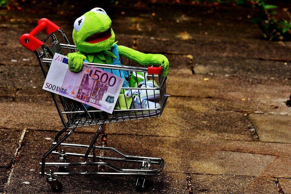 Kermit, Shopping Venture, Shopping, Frog, Fun